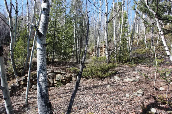 $36,000 | 0 Spruce Street, Central City, CO 80427