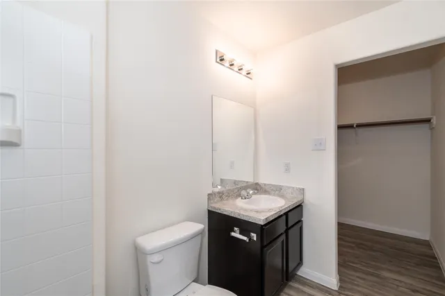 a bathroom with a toilet a sink and mirror