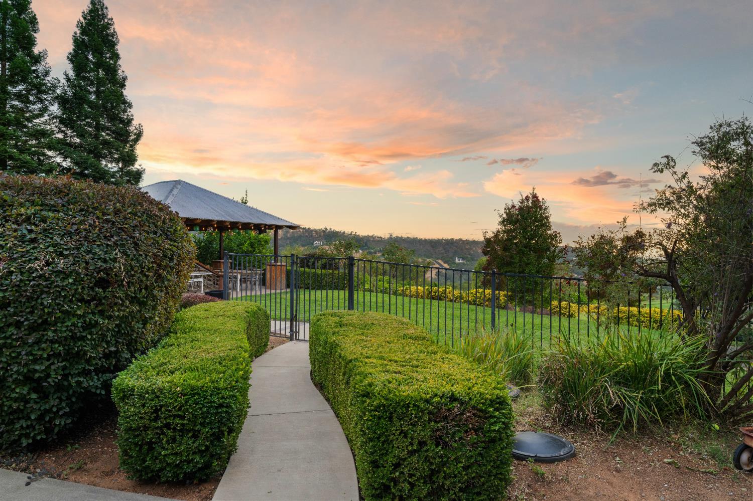 7380 Ridge Road Newcastle, CA 95658 - Photo 81 of 89 a view of a park with plants and a large tree