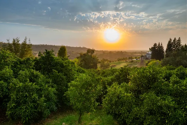 $2,450,000 | 7380 Ridge Road, Newcastle, CA 95658