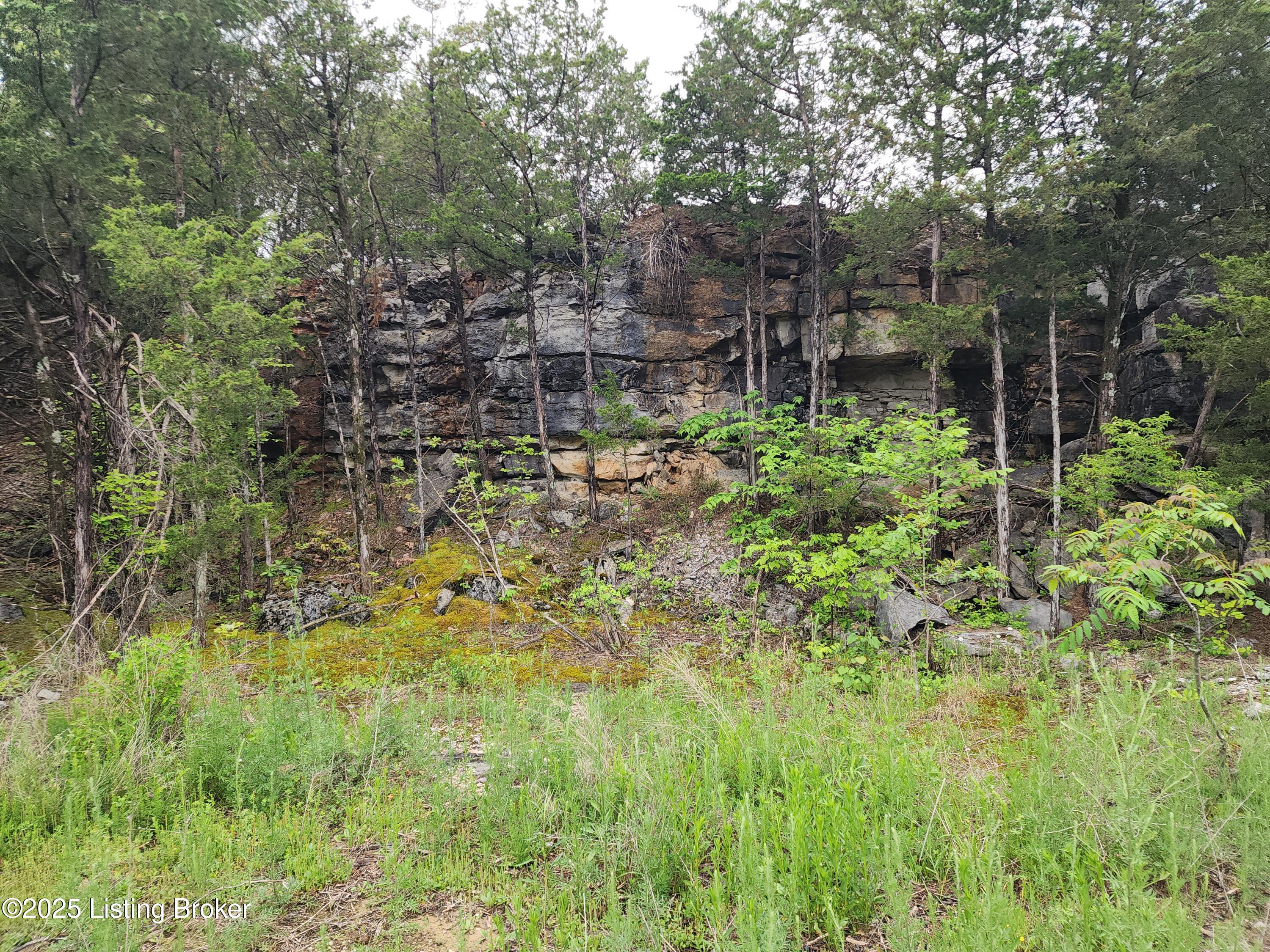 400 Old Dixie Loop Upton, KY 42784 - Photo 80 of 85 20250508_173503