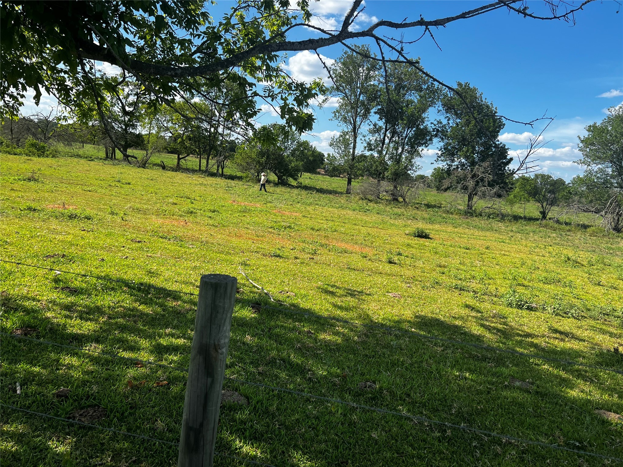 0 Terrace Road Chappell Hill, TX 77426 - Photo 2 of 6 a view of an ocean from a yard