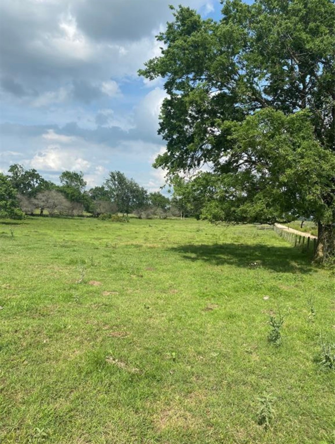 0 Terrace Road Chappell Hill, TX 77426 - Photo 3 of 6 a view of a green field with wooden fence