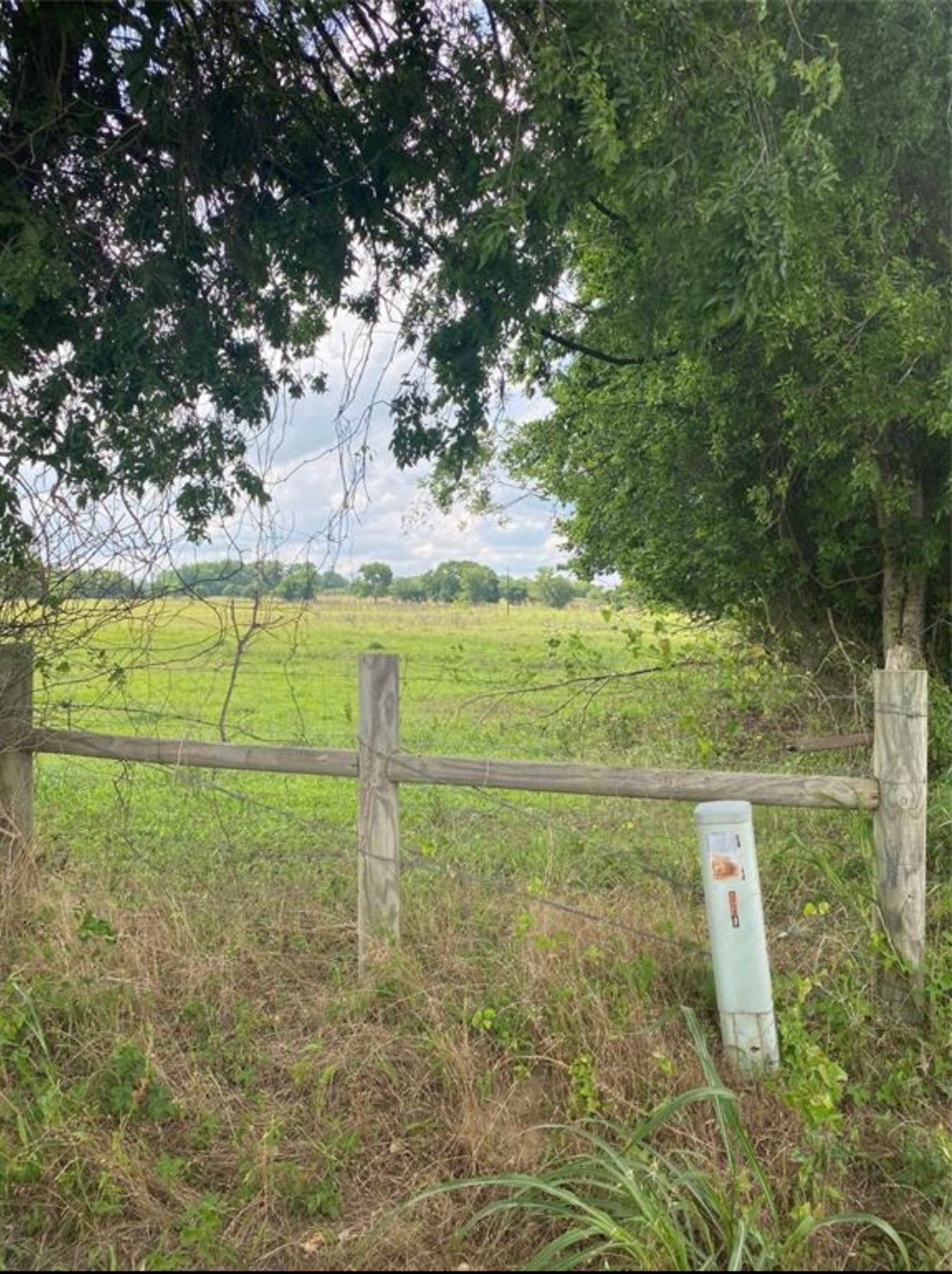 0 Terrace Road Chappell Hill, TX 77426 - Photo 5 of 6 a view of a yard with an outdoor space