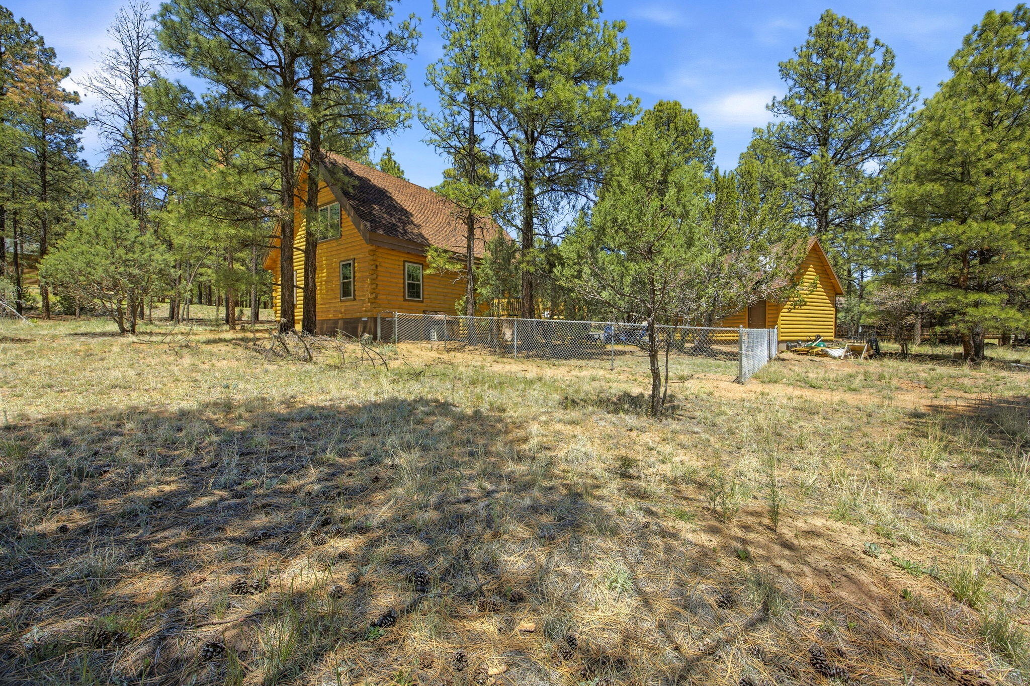 2905 Lodgepole Road Overgaard, AZ 85933 - Photo 33 of 42