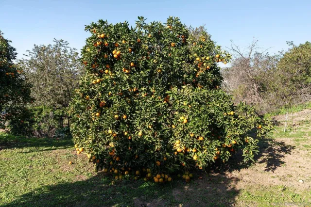 $739,000 | 2820 Highlands Boulevard, Spring Valley, CA 91977