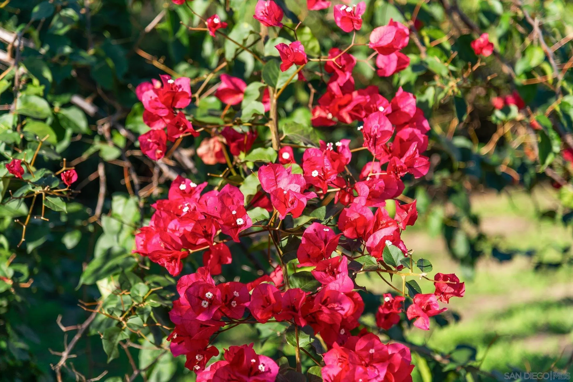 2820 Highlands Boulevard Spring Valley, CA 91977 - Photo 8 of 52