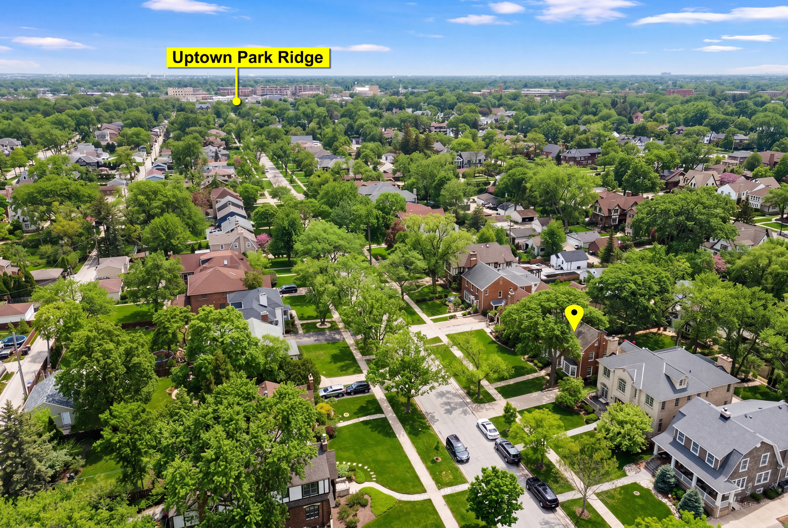 831 South Prospect Avenue Park Ridge, IL 60068 - Photo 41 of 46 Gallery Image 41