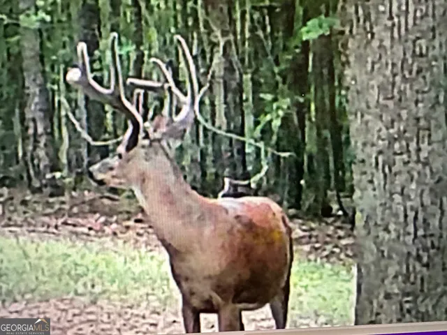 $1,890,000 | 1050 Cedar Grove Drive, Buckhead, GA 30625