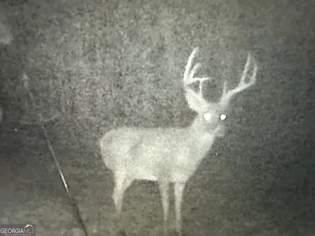 $1,890,000 | 1050 Cedar Grove Drive, Buckhead, GA 30625