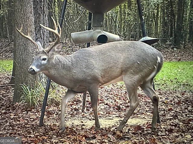 $1,890,000 | 1050 Cedar Grove Drive, Buckhead, GA 30625