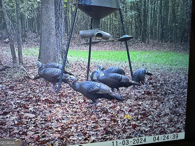 $1,890,000 | 1050 Cedar Grove Drive, Buckhead, GA 30625