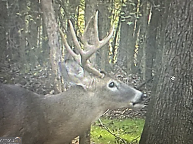 $1,890,000 | 1050 Cedar Grove Drive, Buckhead, GA 30625