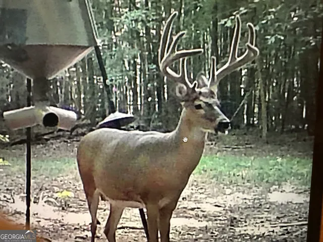 a kitchen with stainless steel appliances a refrigerator sink and cabinets