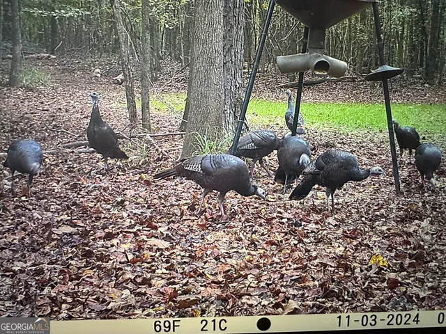 a kitchen with stainless steel appliances granite countertop wooden cabinets a stove top oven a sink and dishwasher