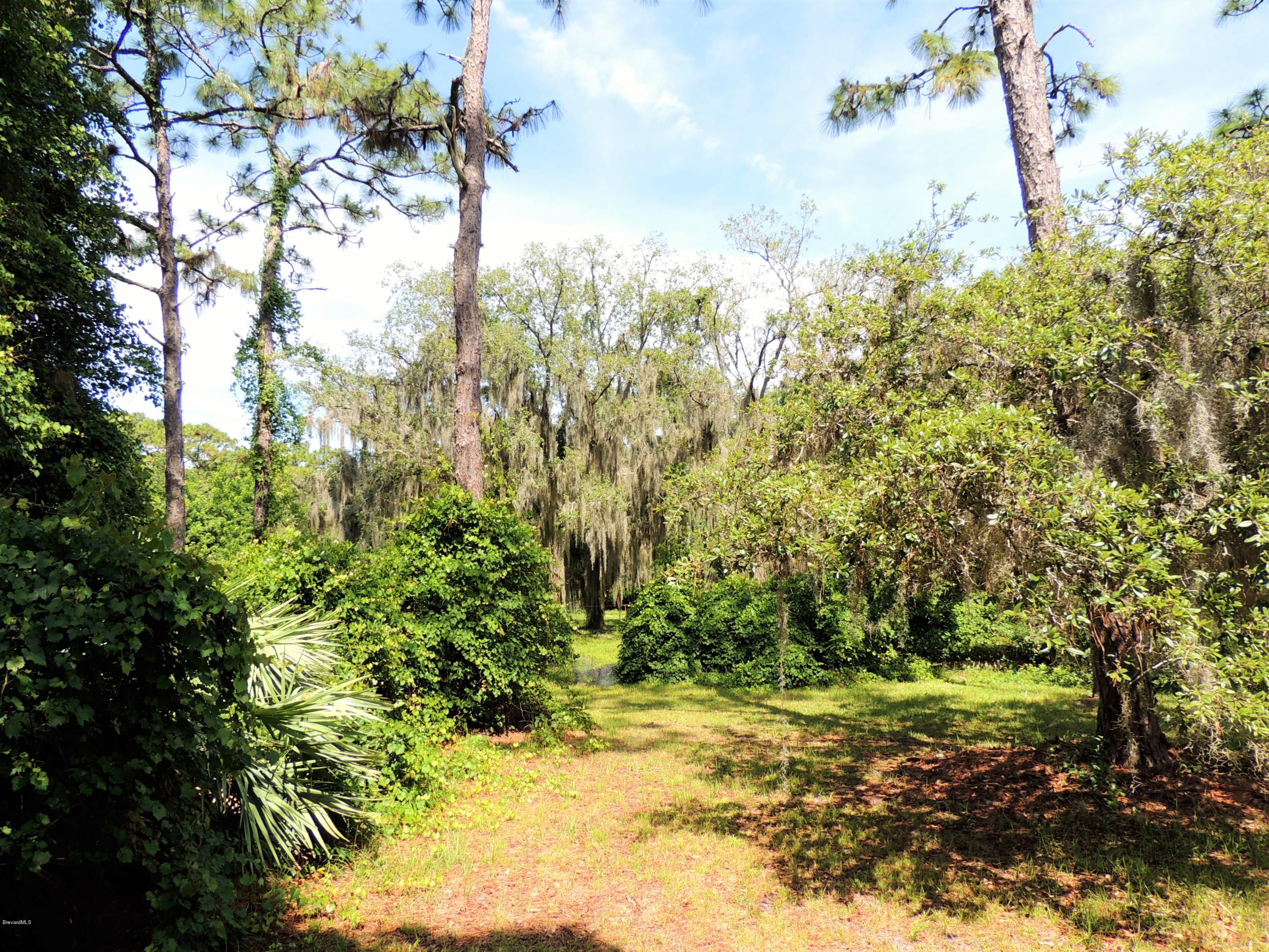 3570 Turtle Mound Road Melbourne, FL 32934 - Photo 11 of 19 a view of a yard with large trees