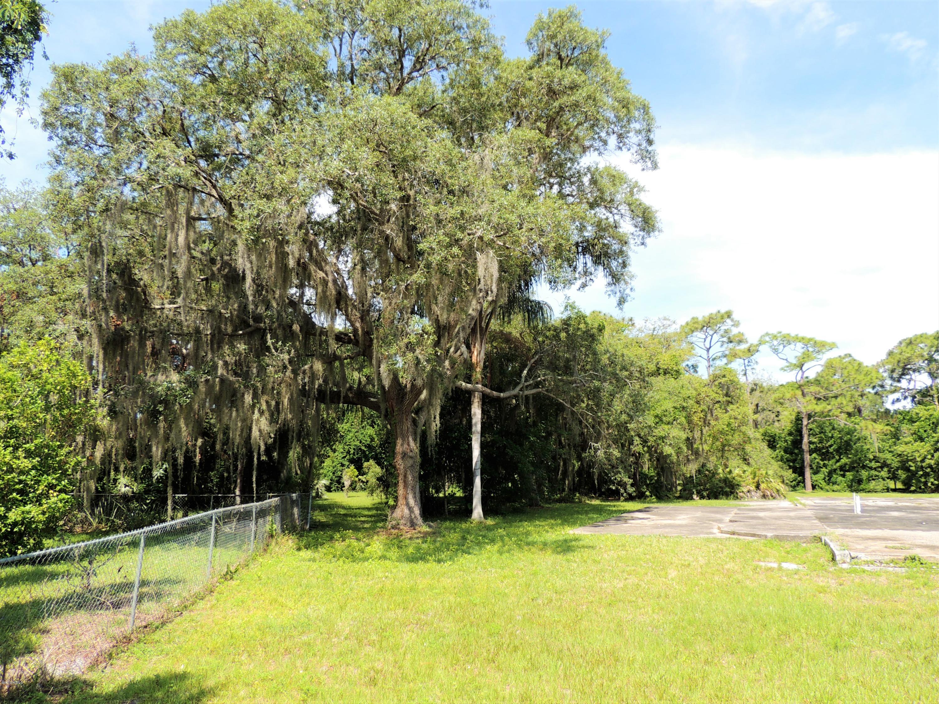3570 Turtle Mound Road Melbourne, FL 32934 - Photo 15 of 19 a view of a swimming pool with a big yard and large trees