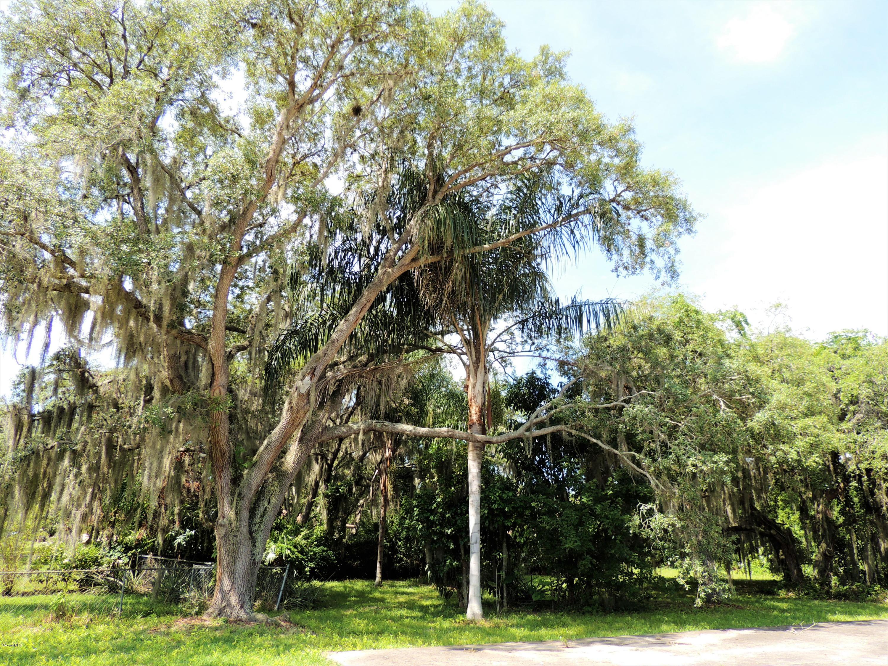 3570 Turtle Mound Road Melbourne, FL 32934 - Photo 18 of 19 a view of an outdoor space and a yard