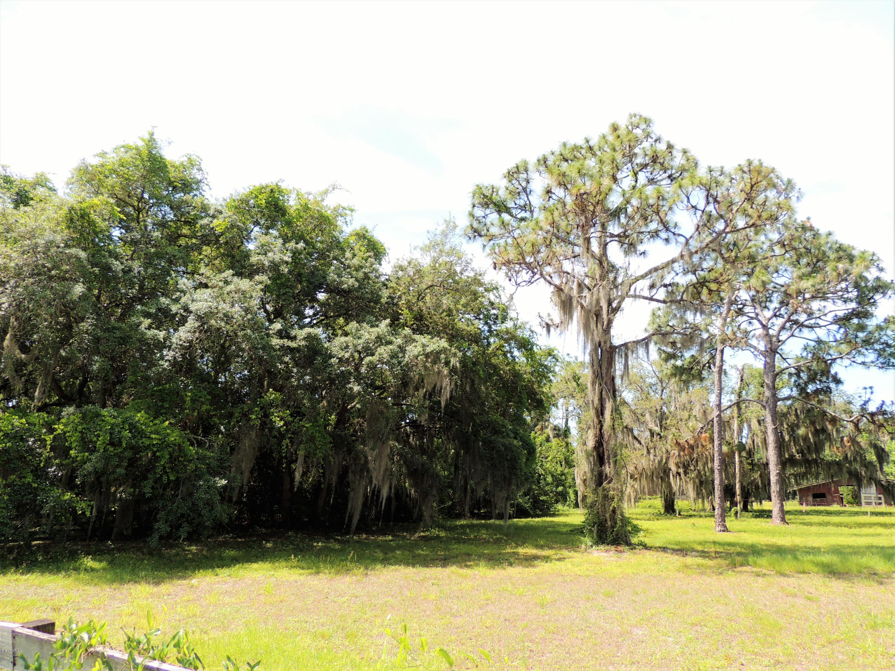 3570 Turtle Mound Road Melbourne, FL 32934 - Photo 19 of 19 a view of swimming pool