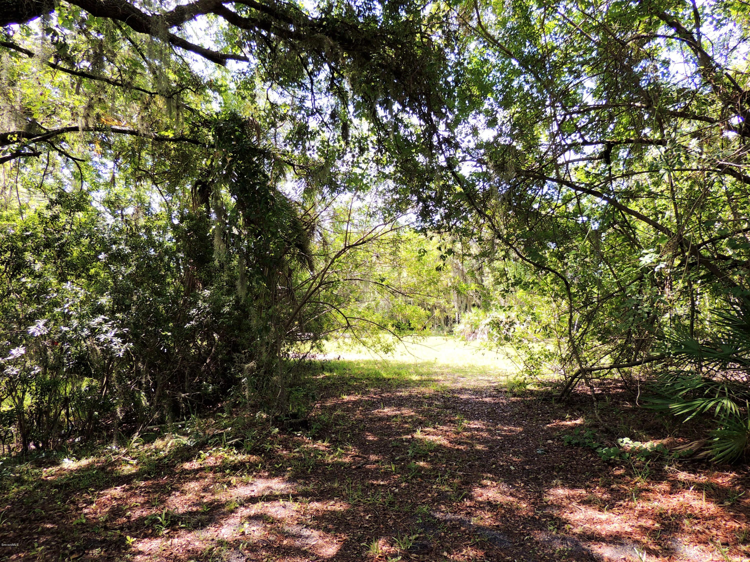 3570 Turtle Mound Road Melbourne, FL 32934 - Photo 4 of 19 a view of backyard of a house
