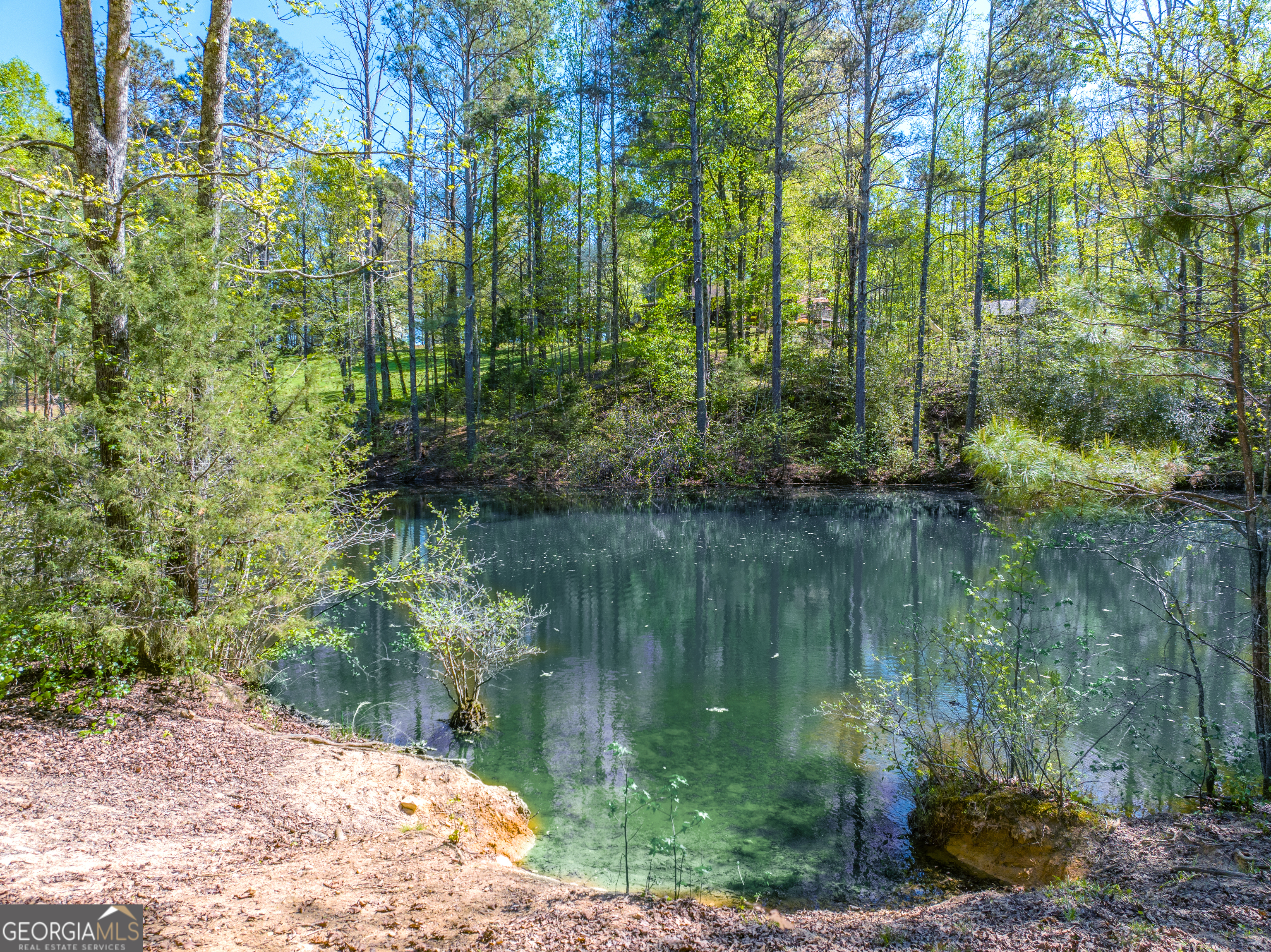5855 Tony Peck Road Murrayville, GA 30564 - Photo 76 of 89
