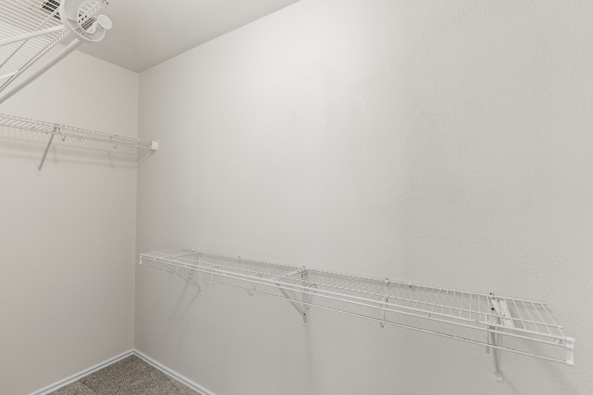 208 Dandelion Loop Kyle, TX 78640 - Photo 26 of 39 Walk-in closet in primary bedroom