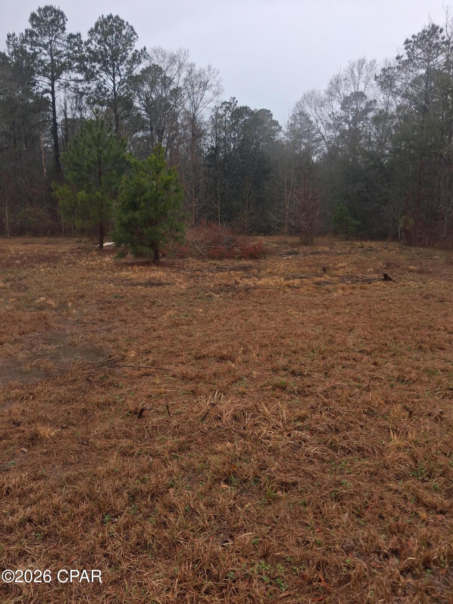 2114 Miller Lane Chipley, FL 32428 - Photo 3 of 7