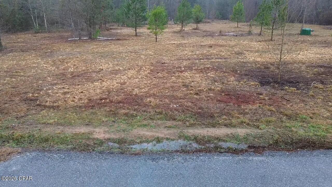 2114 Miller Lane Chipley, FL 32428 - Photo 7 of 7
