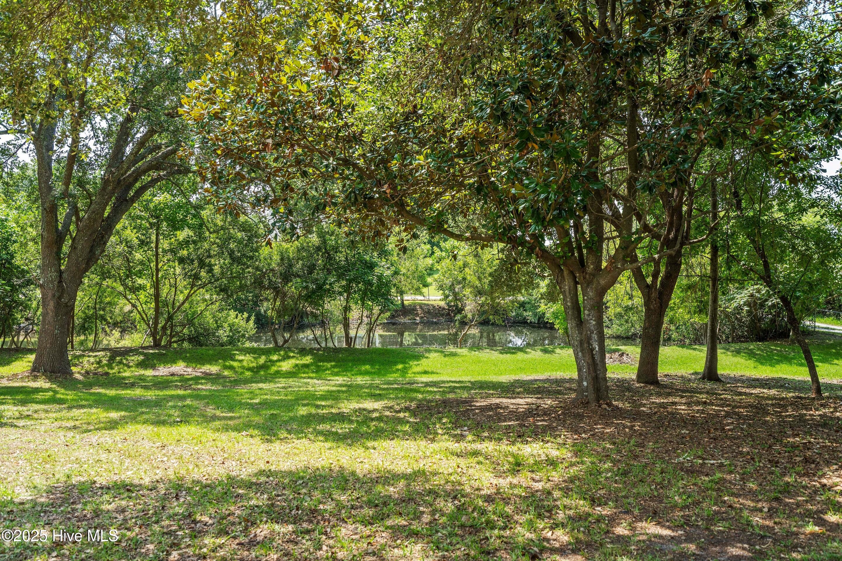 278 Batson Road Hampstead, NC 28443 - Photo 39 of 54 mls-DSC04106