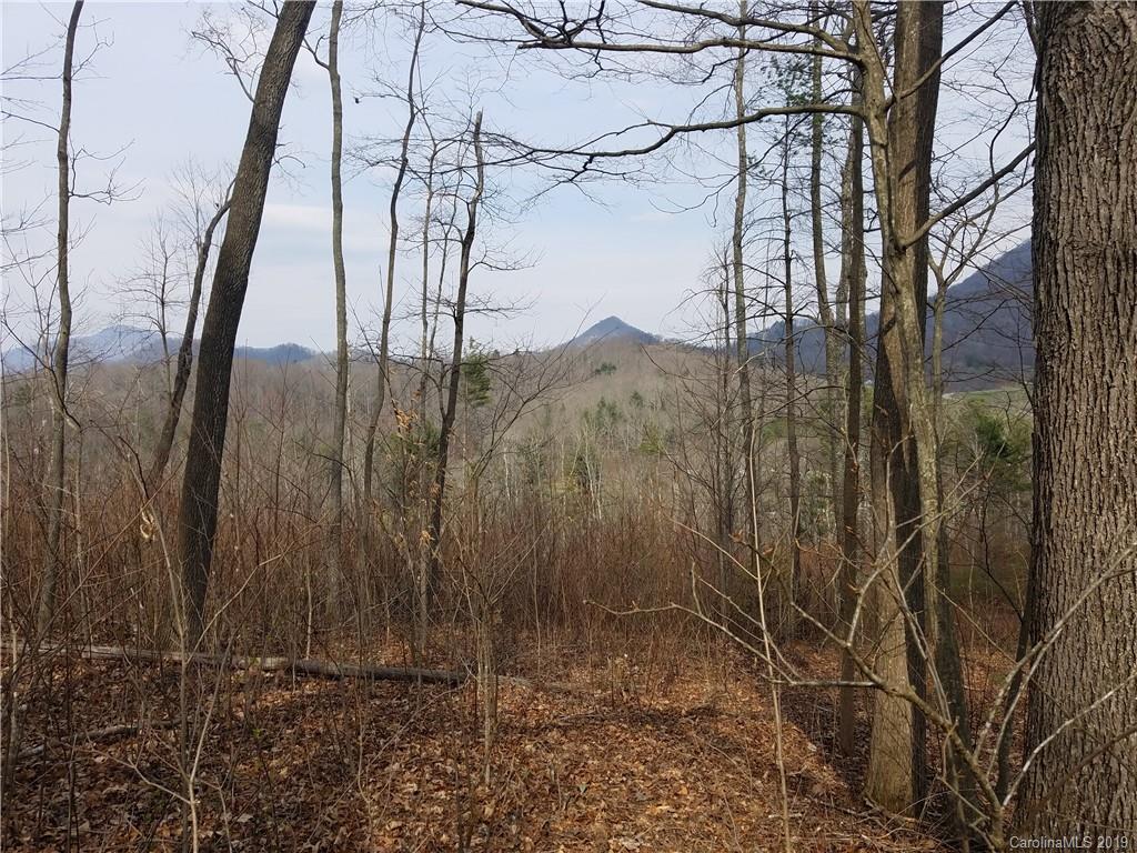 3091 Hyder Mountain Road Clyde, NC 28721 - Photo 14 of 27 a view of a yard
