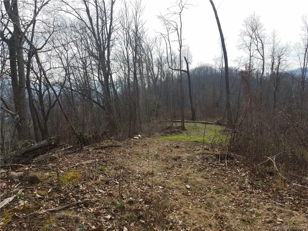 3091 Hyder Mountain Road Clyde, NC 28721 - Photo 8 of 27 a view of a backyard