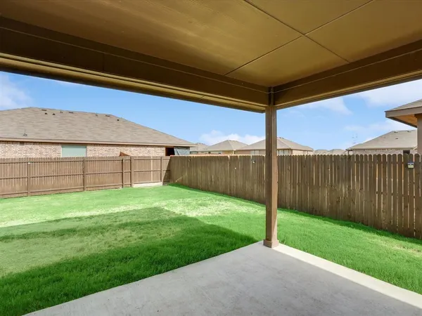 a view of a backyard with plants