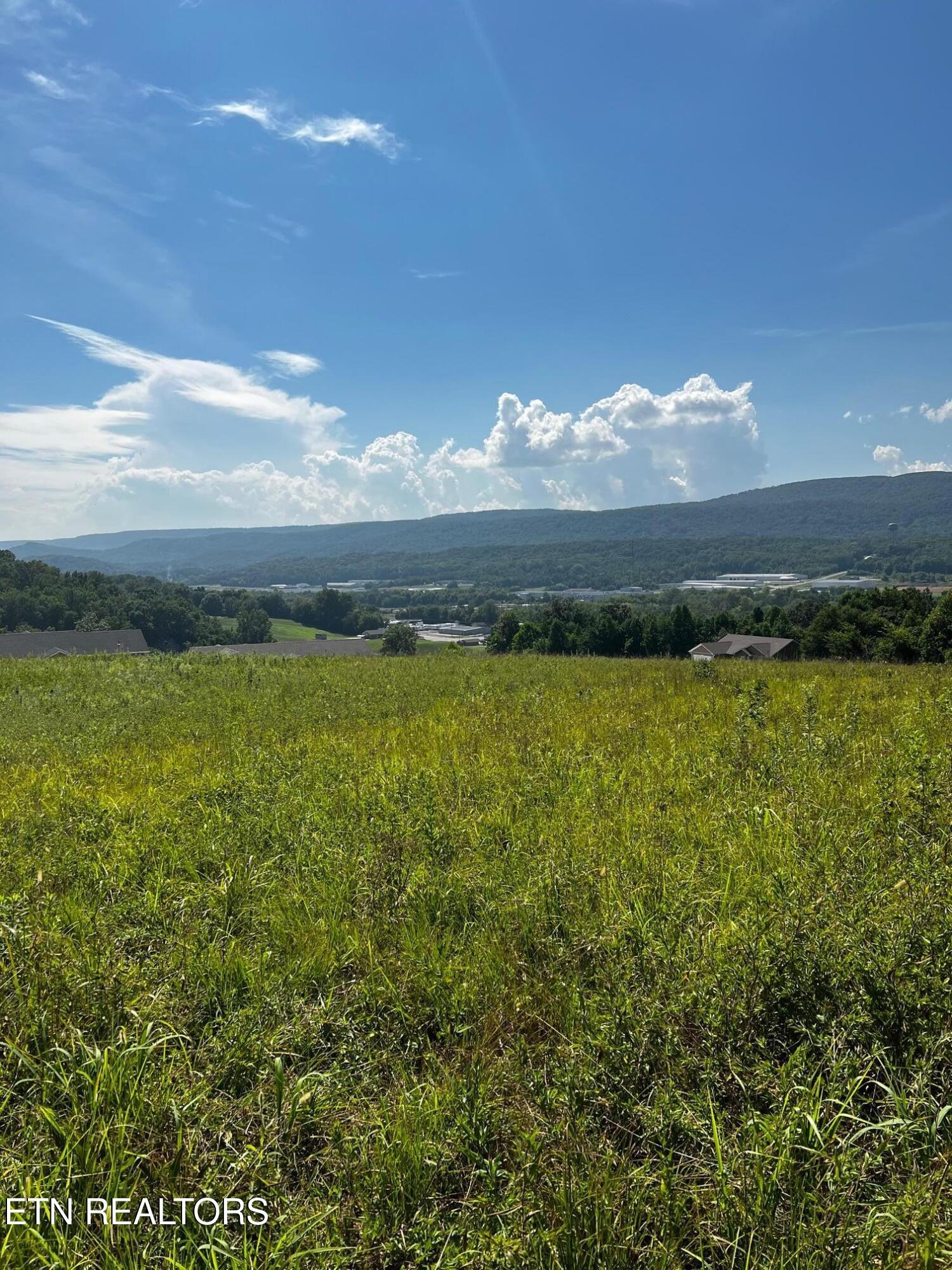 0 White Oak Road Dayton, TN 37321 - Photo 13 of 16 IMG_6069