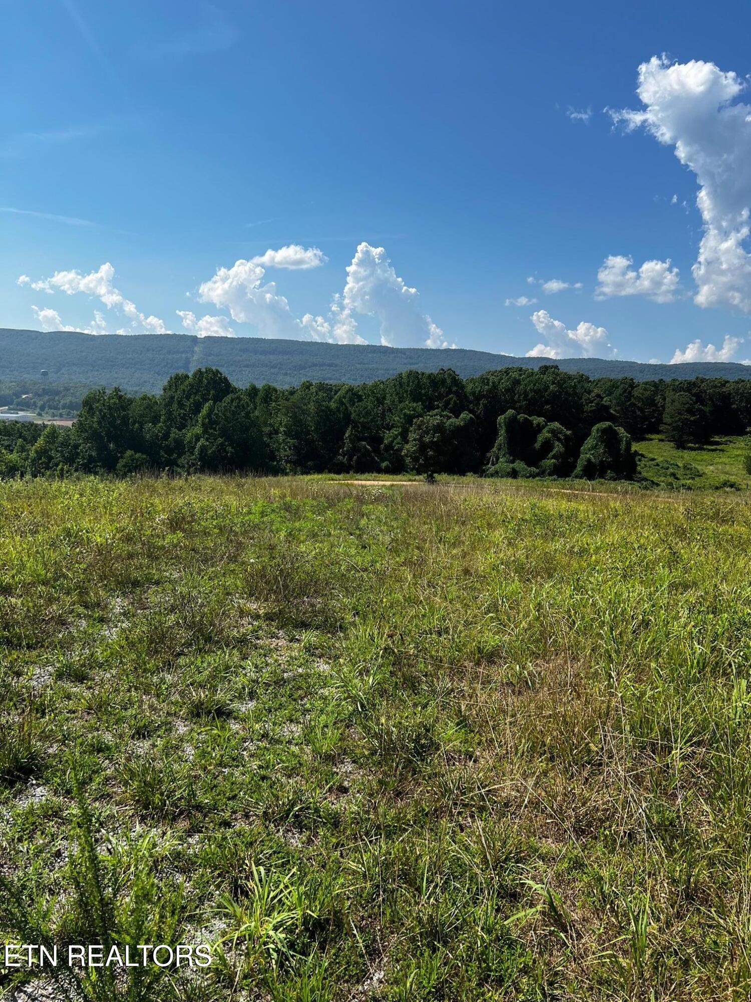 0 White Oak Road Dayton, TN 37321 - Photo 8 of 16 IMG_6064