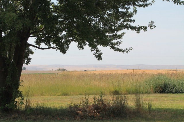 3749 Frog Hollow Road Touchet, WA 99360 - Photo 24 of 33 Gallery Image 24