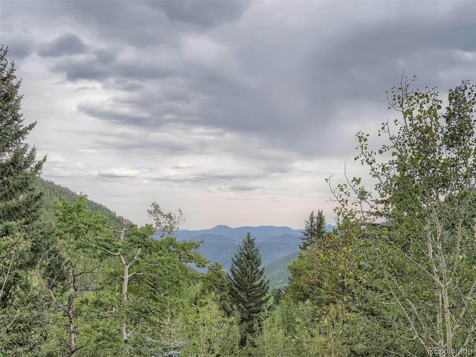 4387 Witter Gulch Road Evergreen, CO 80439 - Photo 28 of 31 view of a bunch of trees and bushes