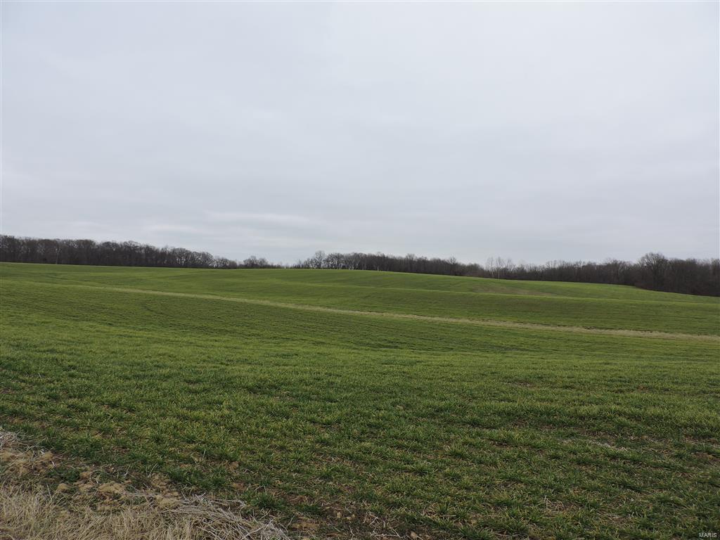1472 Sugar Hill Road Ava, IL 62907 - Photo 1 of 47