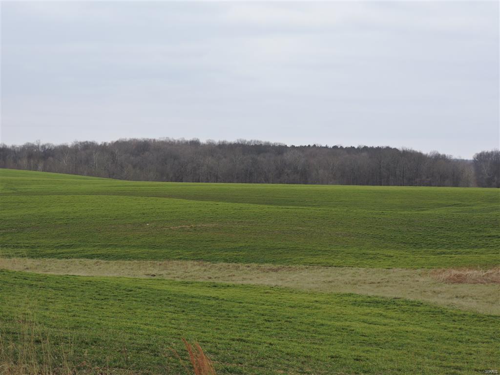 1472 Sugar Hill Road Ava, IL 62907 - Photo 2 of 47