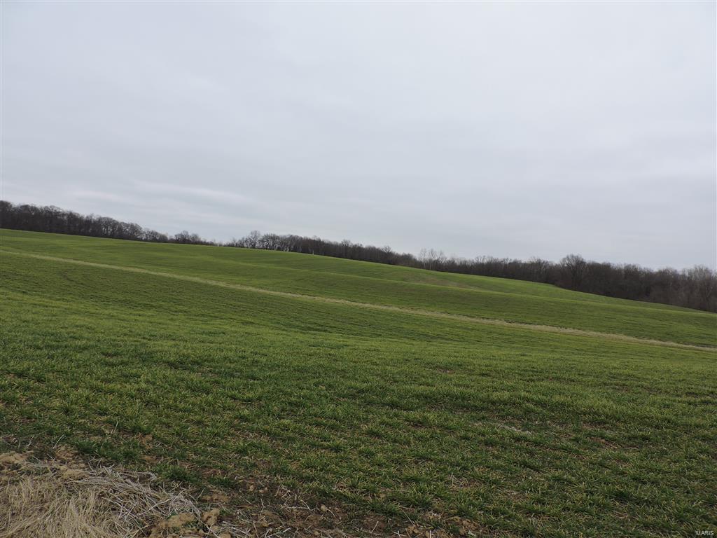 1472 Sugar Hill Road Ava, IL 62907 - Photo 11 of 47