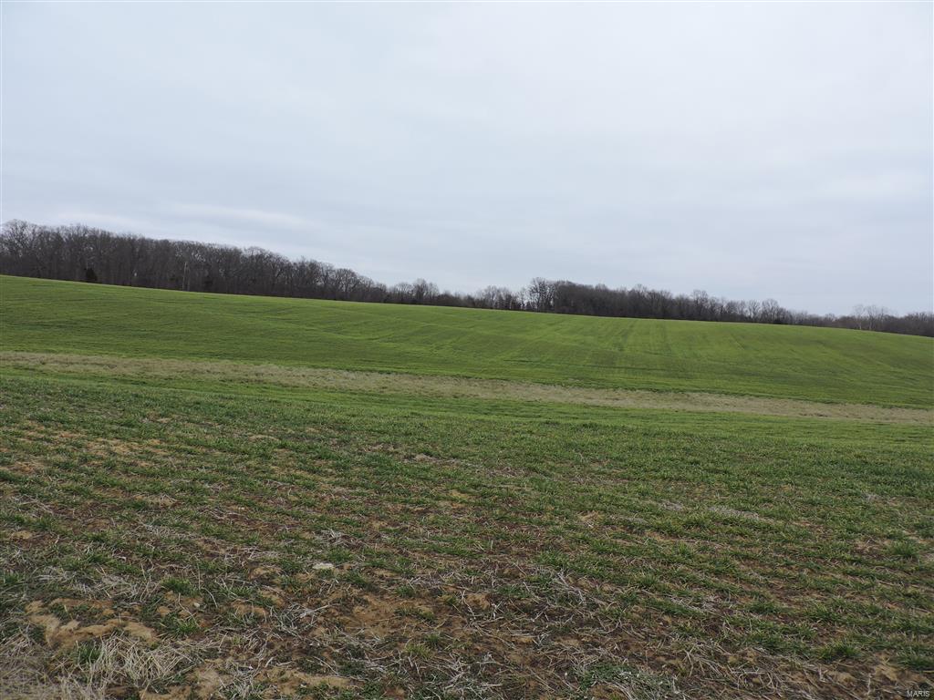 1472 Sugar Hill Road Ava, IL 62907 - Photo 12 of 47