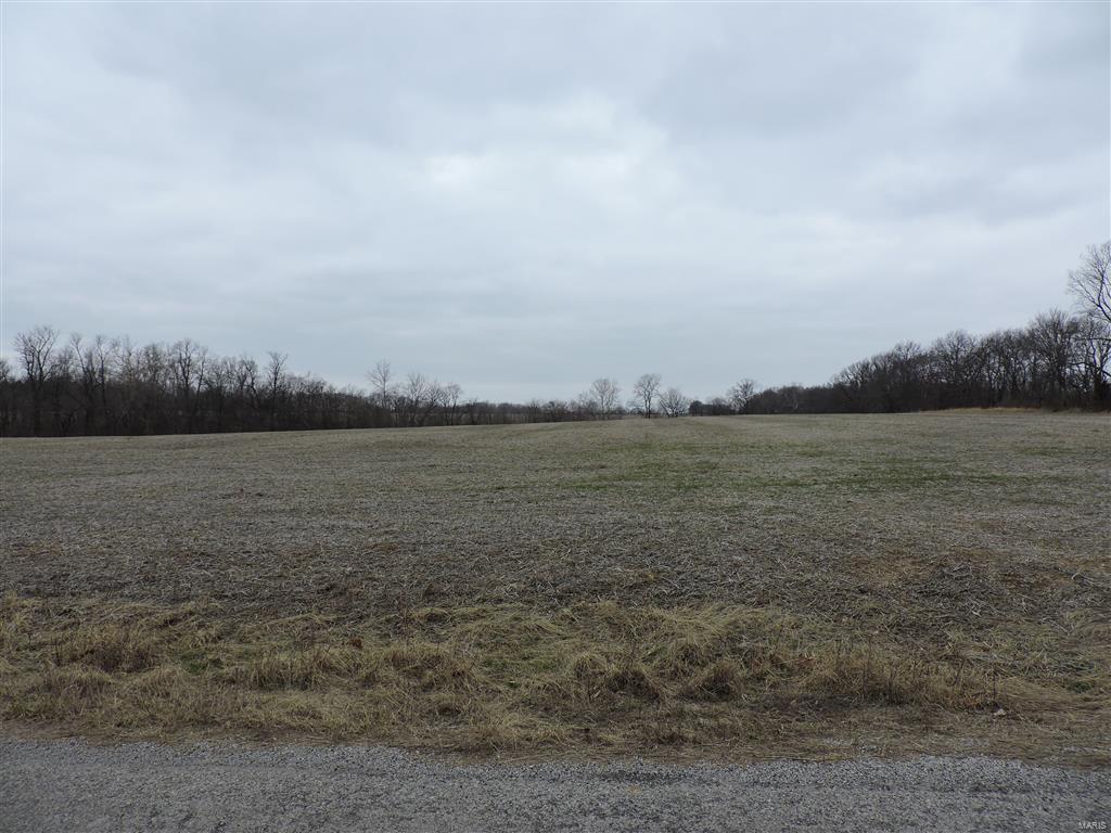 1472 Sugar Hill Road Ava, IL 62907 - Photo 13 of 47