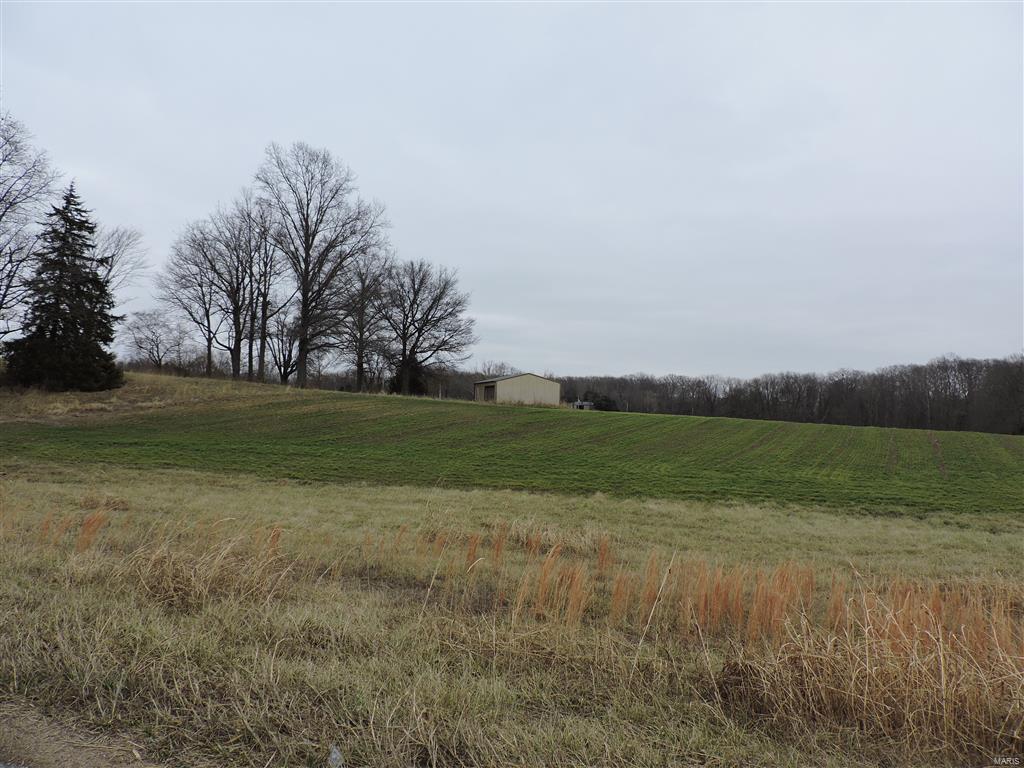 1472 Sugar Hill Road Ava, IL 62907 - Photo 14 of 47