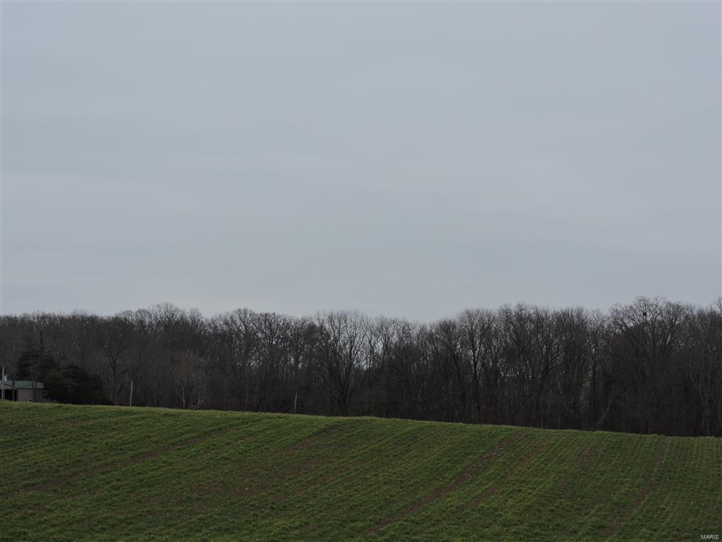 1472 Sugar Hill Road Ava, IL 62907 - Photo 15 of 47