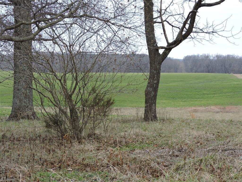 1472 Sugar Hill Road Ava, IL 62907 - Photo 17 of 47