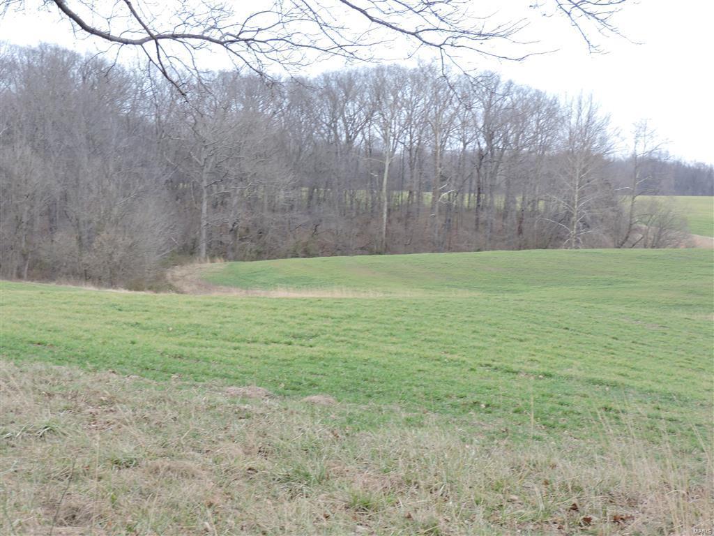 1472 Sugar Hill Road Ava, IL 62907 - Photo 18 of 47