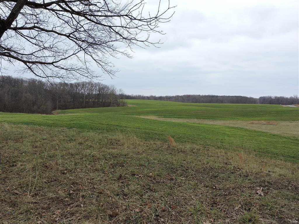 1472 Sugar Hill Road Ava, IL 62907 - Photo 19 of 47