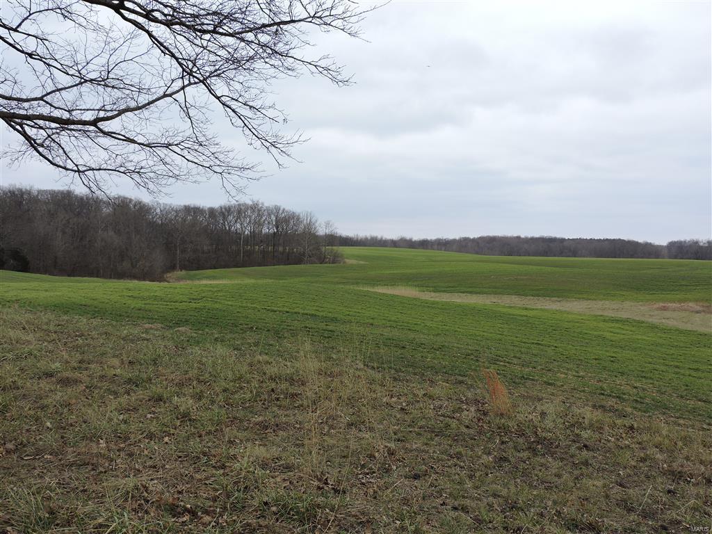 1472 Sugar Hill Road Ava, IL 62907 - Photo 20 of 47