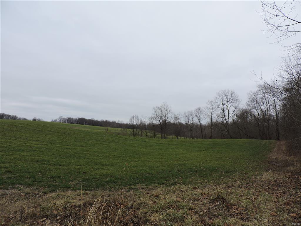 1472 Sugar Hill Road Ava, IL 62907 - Photo 3 of 47