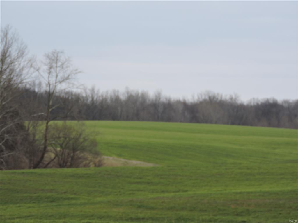 1472 Sugar Hill Road Ava, IL 62907 - Photo 21 of 47