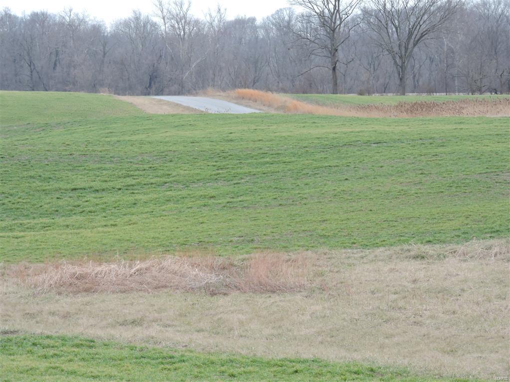 1472 Sugar Hill Road Ava, IL 62907 - Photo 22 of 47
